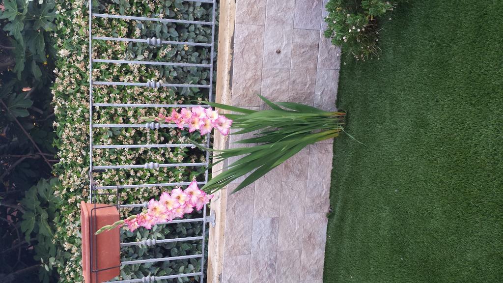 הוילה אולביה Casa Con Giardino מראה חיצוני תמונה